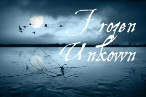 Frozen Unknown in Celebrating: Book Birthday and Micro Fiction by Debra Kristi, author